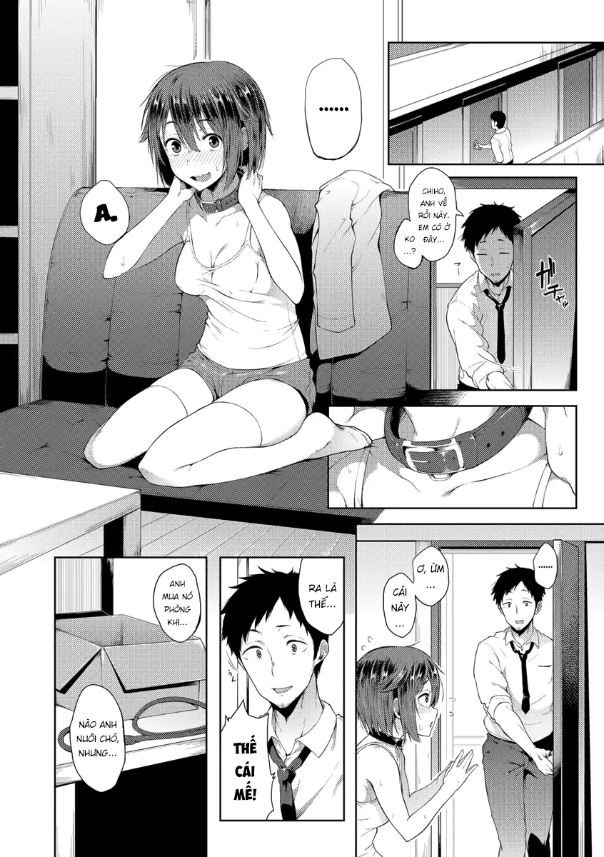 Wonder Collar - Full trang 2