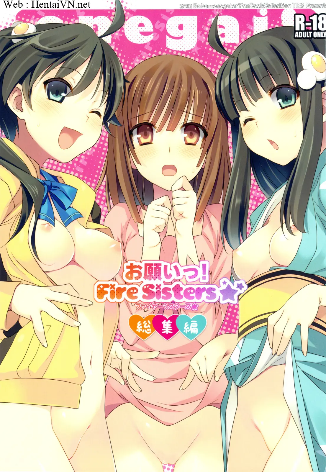 Onegai! FireSisters -Soushuuhen- - Full trang 2