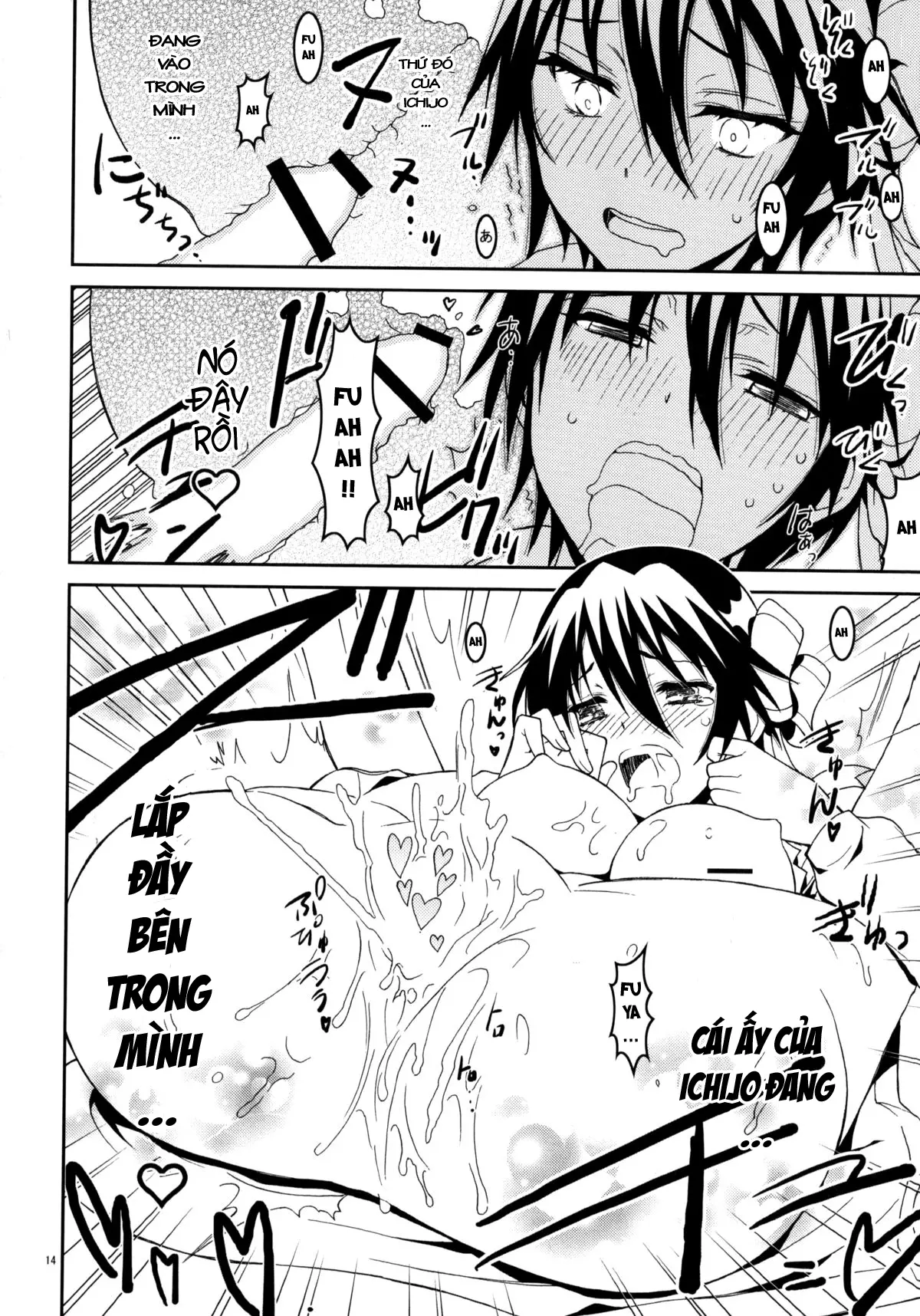 Nisenisekoi 3 - Full trang 14