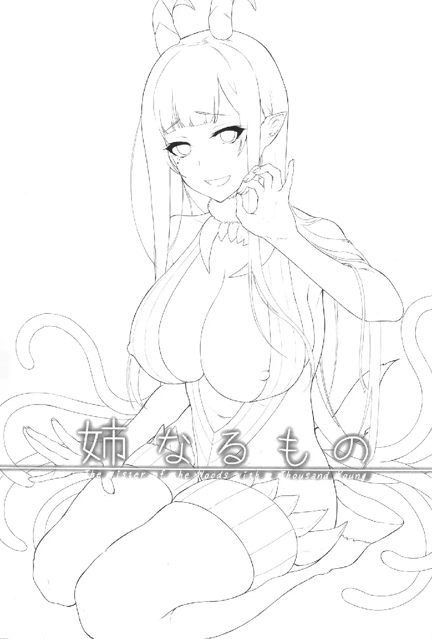 Ane Naru Mono | An Elder Sister - Full trang 2