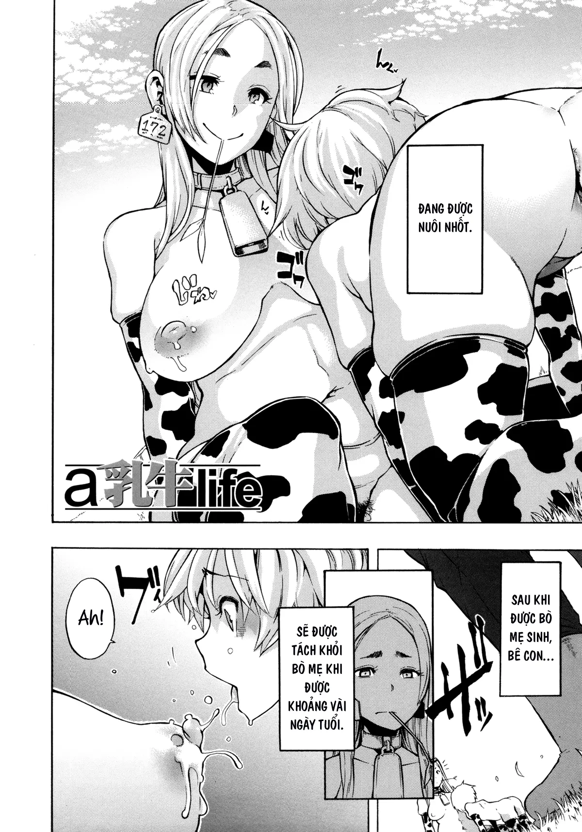 a Nyuugyuu life - Full trang 2