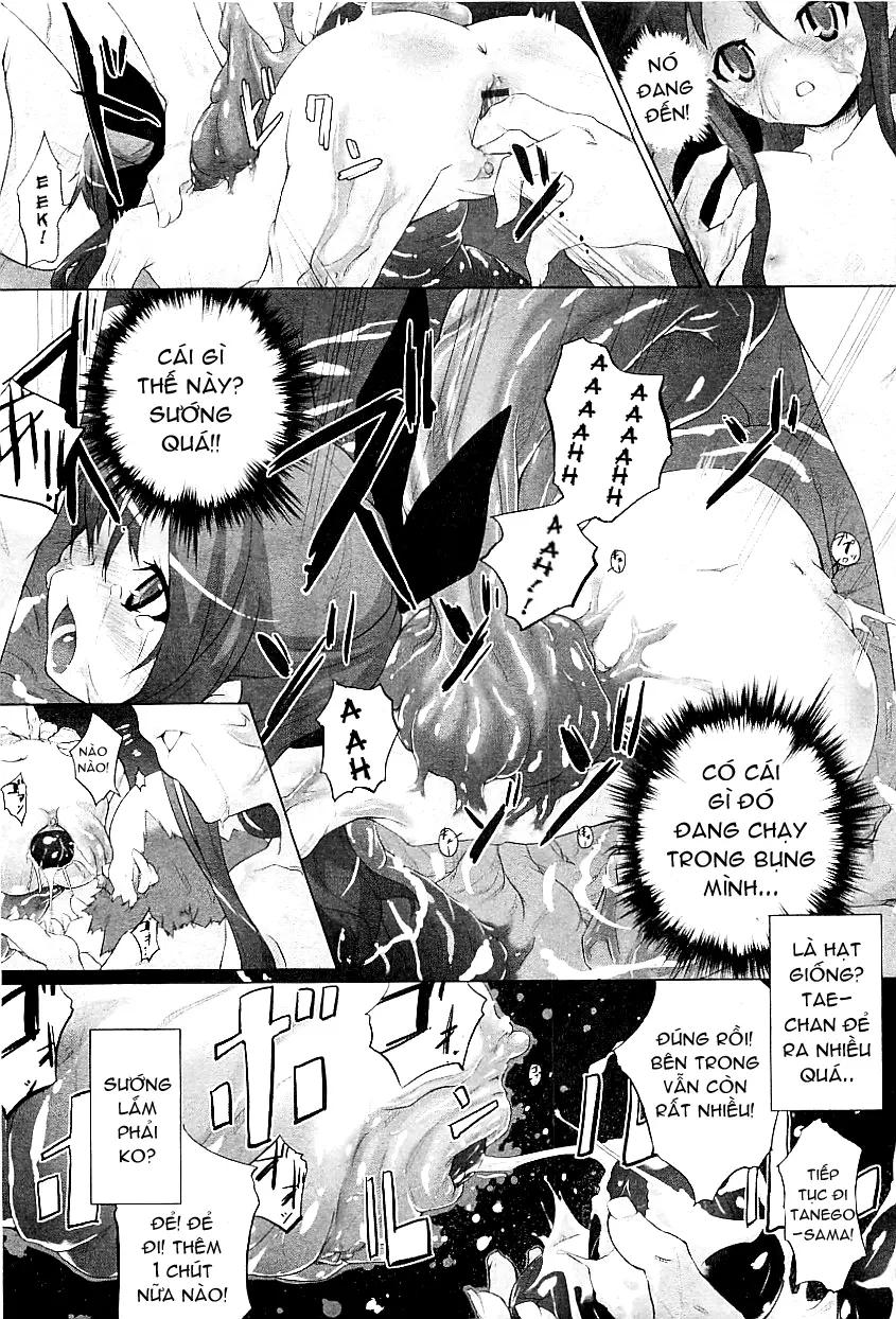 Tanego-sama - Full trang 9