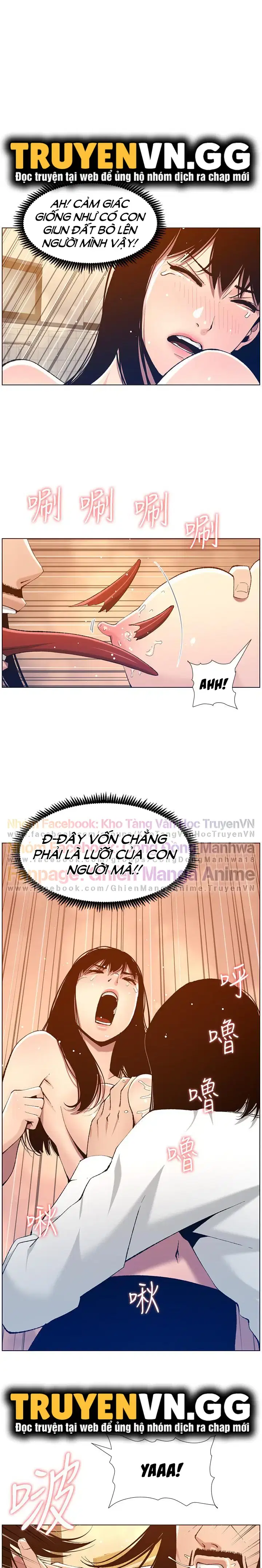 Người bố dượng của tôi - Chapter 103 trang 4