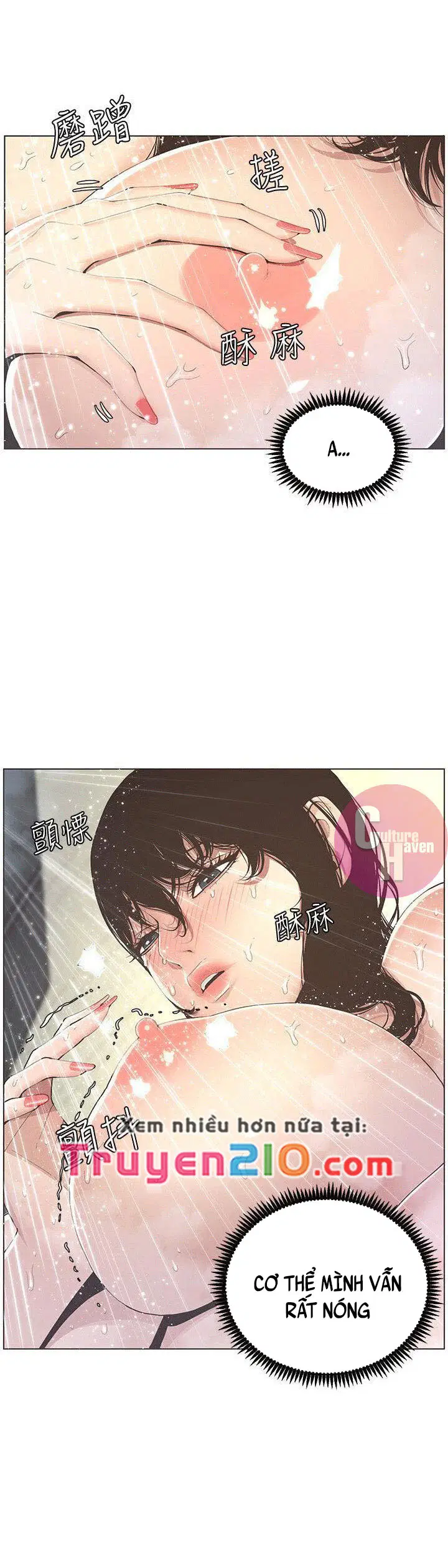 Người bố dượng của tôi - Chapter 2 trang 8