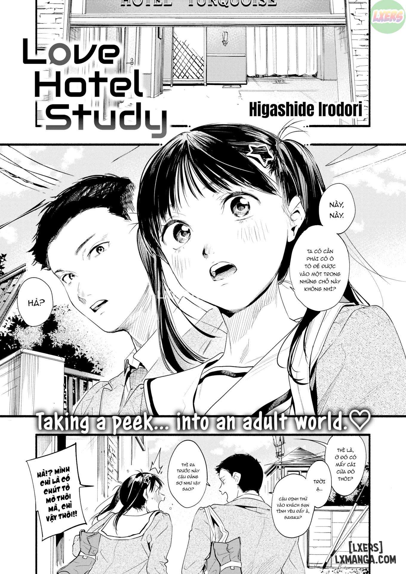 Love Hotel Study