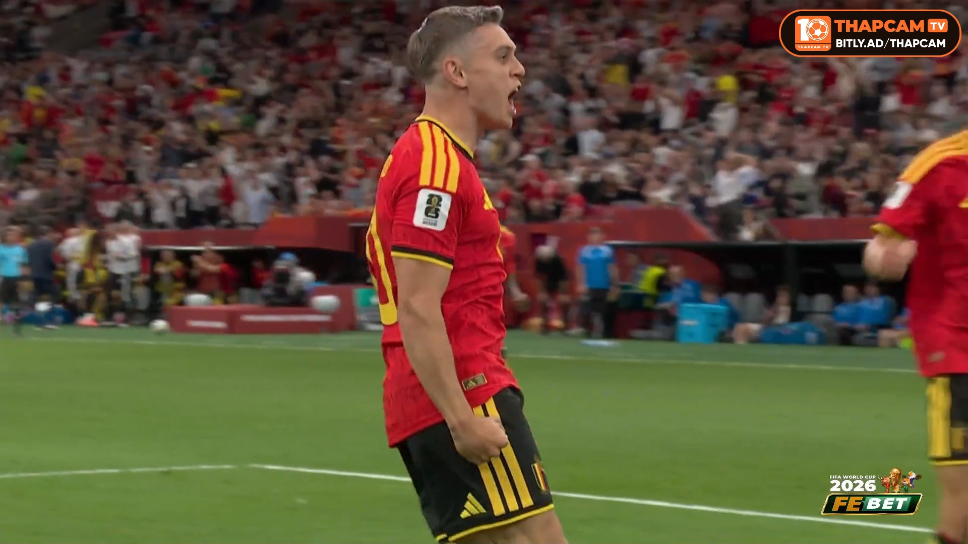 Highlight New Zealand vs Belgium