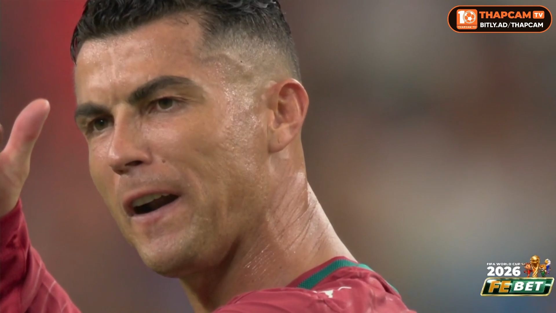 Highlight Portugal vs Spain