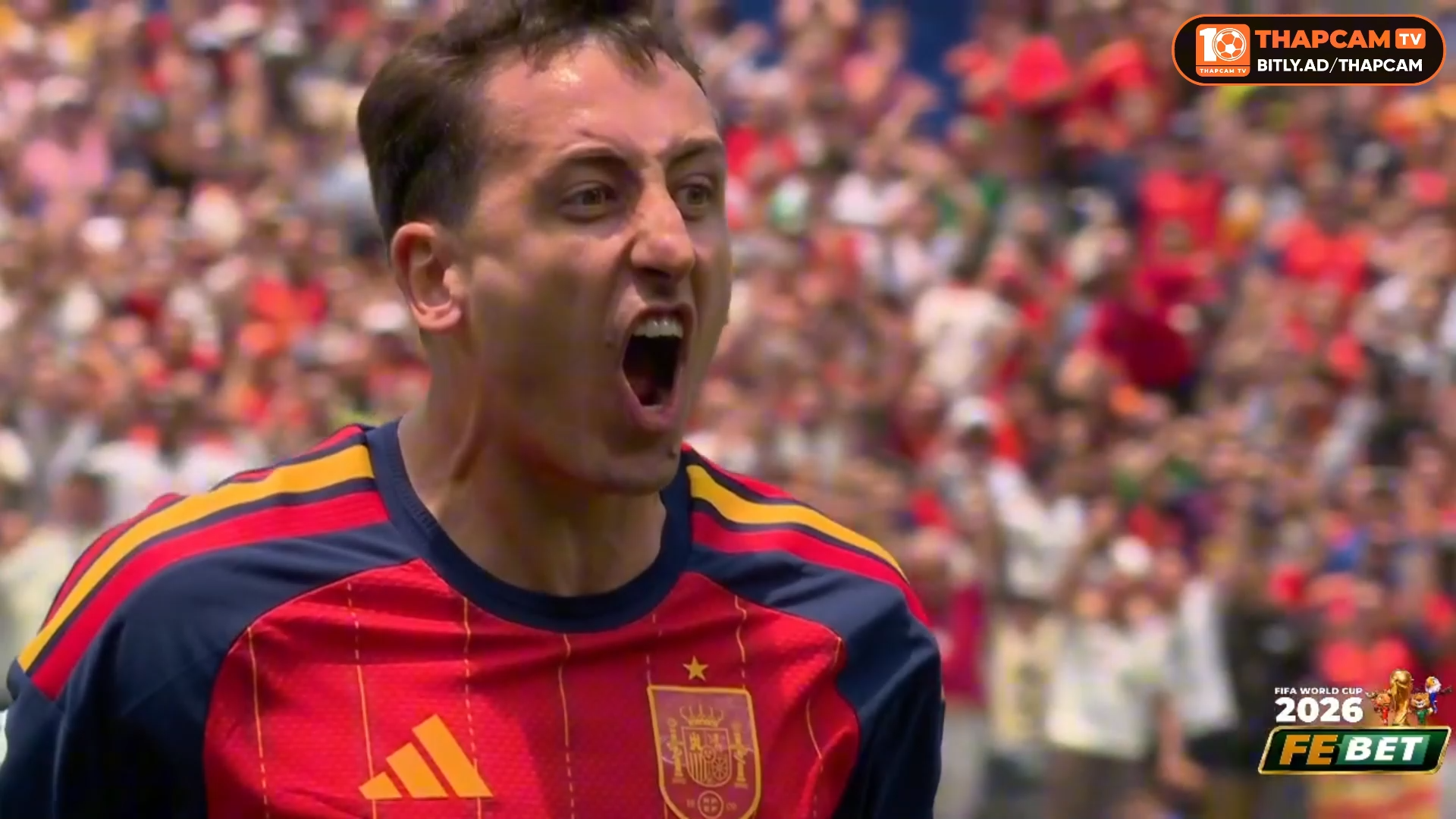 Highlight Spain vs Austria